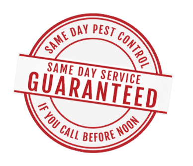 Same Day Service Guaranteed