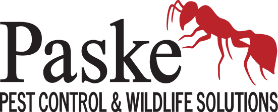 Paske Pest Control & Wildlife Solutions
