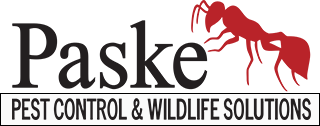 Paske Pest Control & Wildlife Solutions