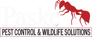 Paske Pest Control & Wildlife Solutions