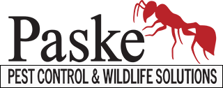 Paske Pest Control