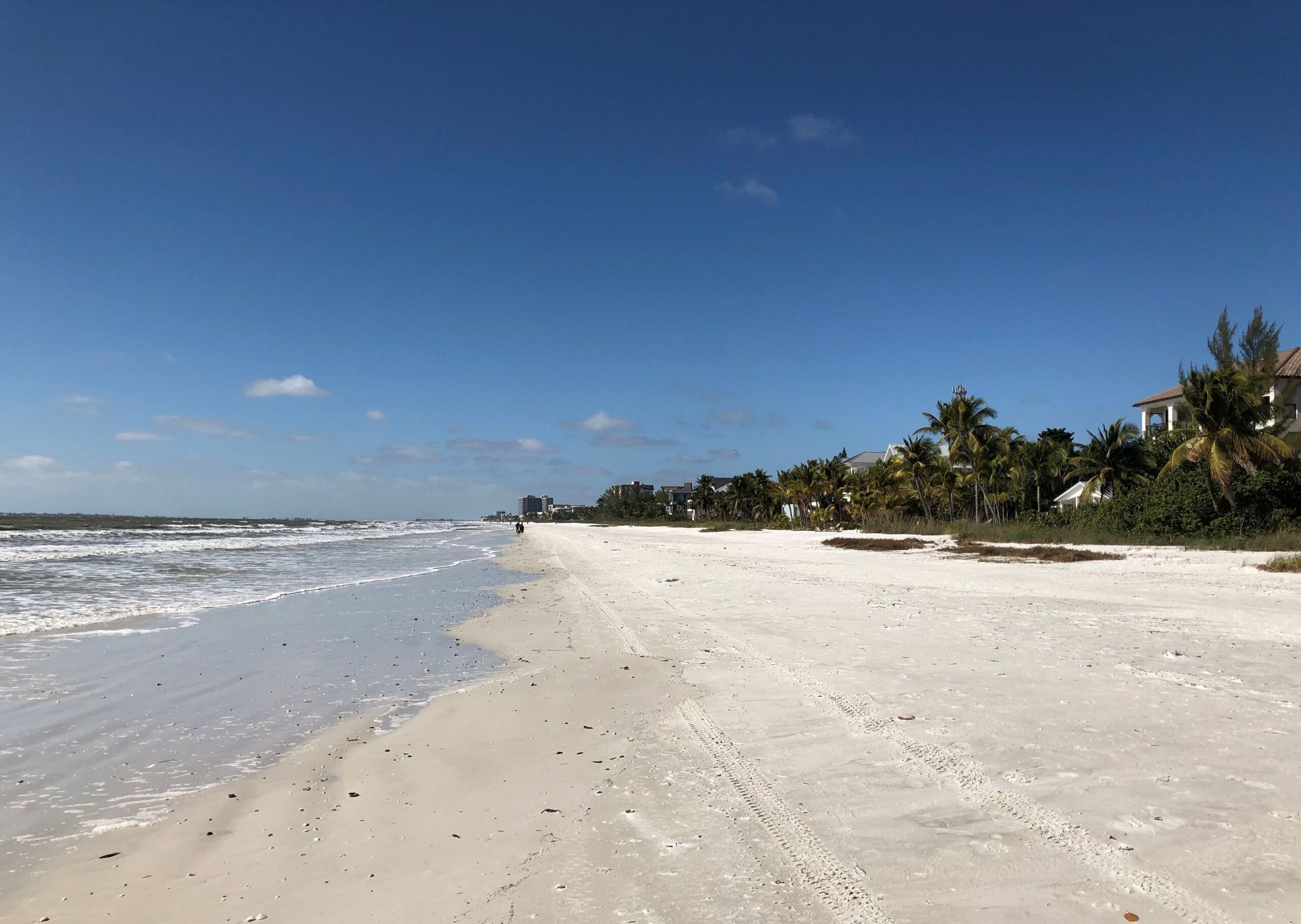 Fort Myers Beach Paske Pest Control